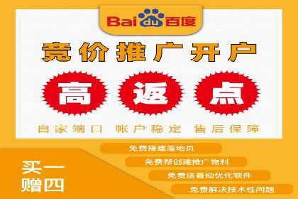 百度推广的投放策略与效果分析
